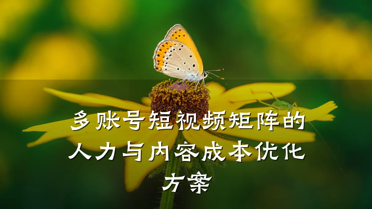 多账号短视频矩阵的人力与内容成本优化方案