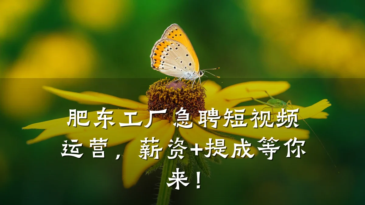 肥东工厂急聘短视频运营,薪资+提成等你来!