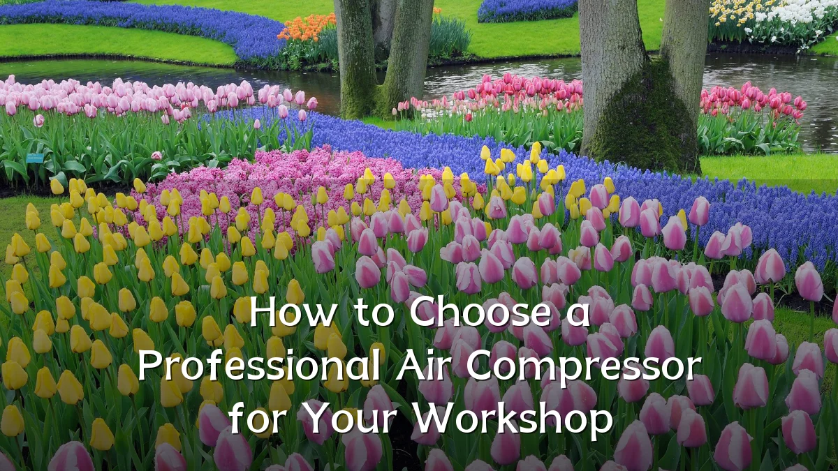 How to Choose a Professional Air Compressor for Your Workshop