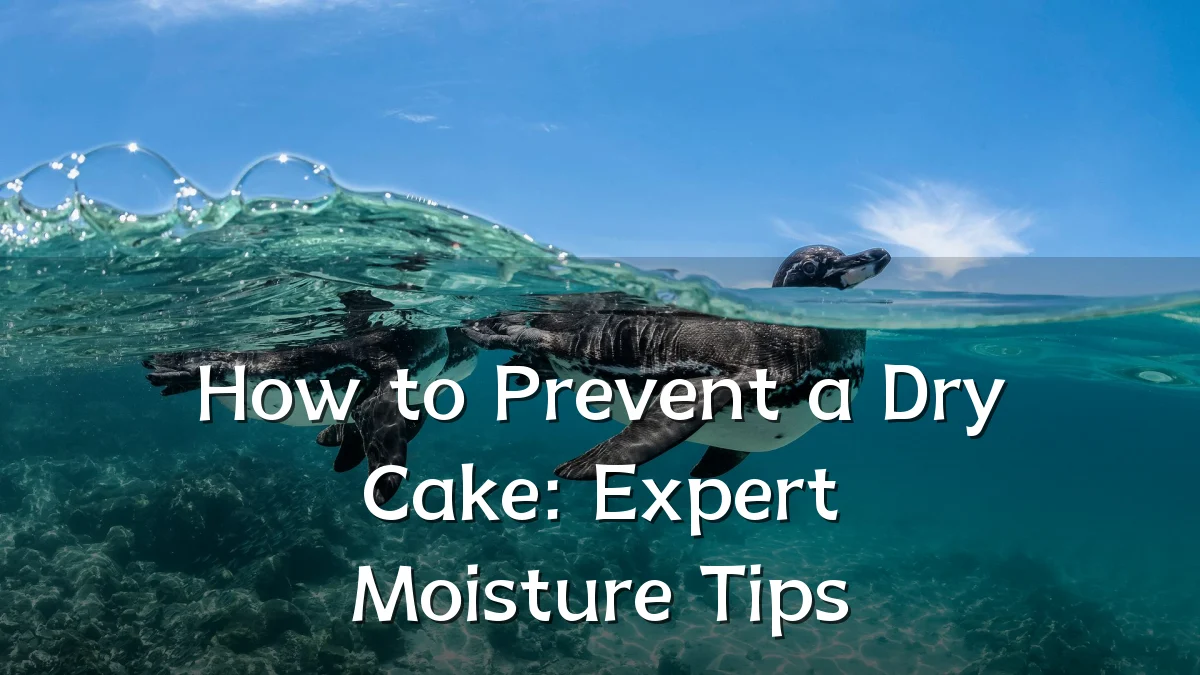 How to Prevent a Dry Cake: Expert Moisture Tips