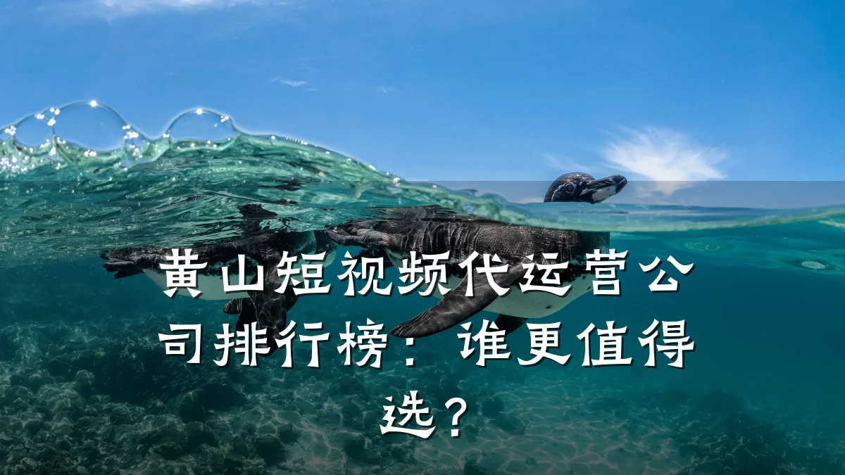 黄山短视频代运营公司排行榜:谁更值得选?