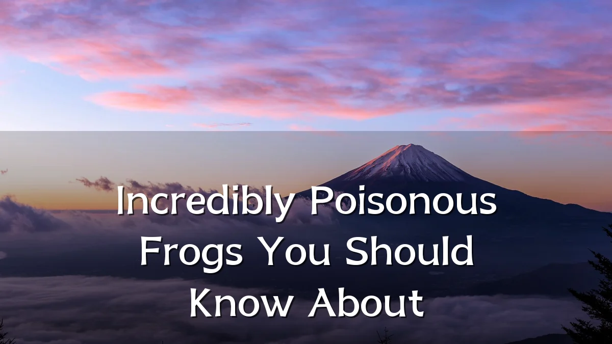 Incredibly Poisonous Frogs You Should Know About