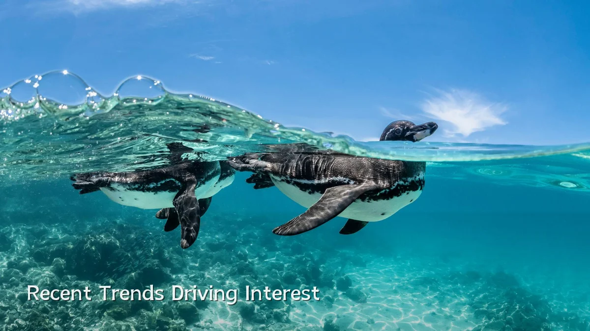 Recent Trends Driving Interest