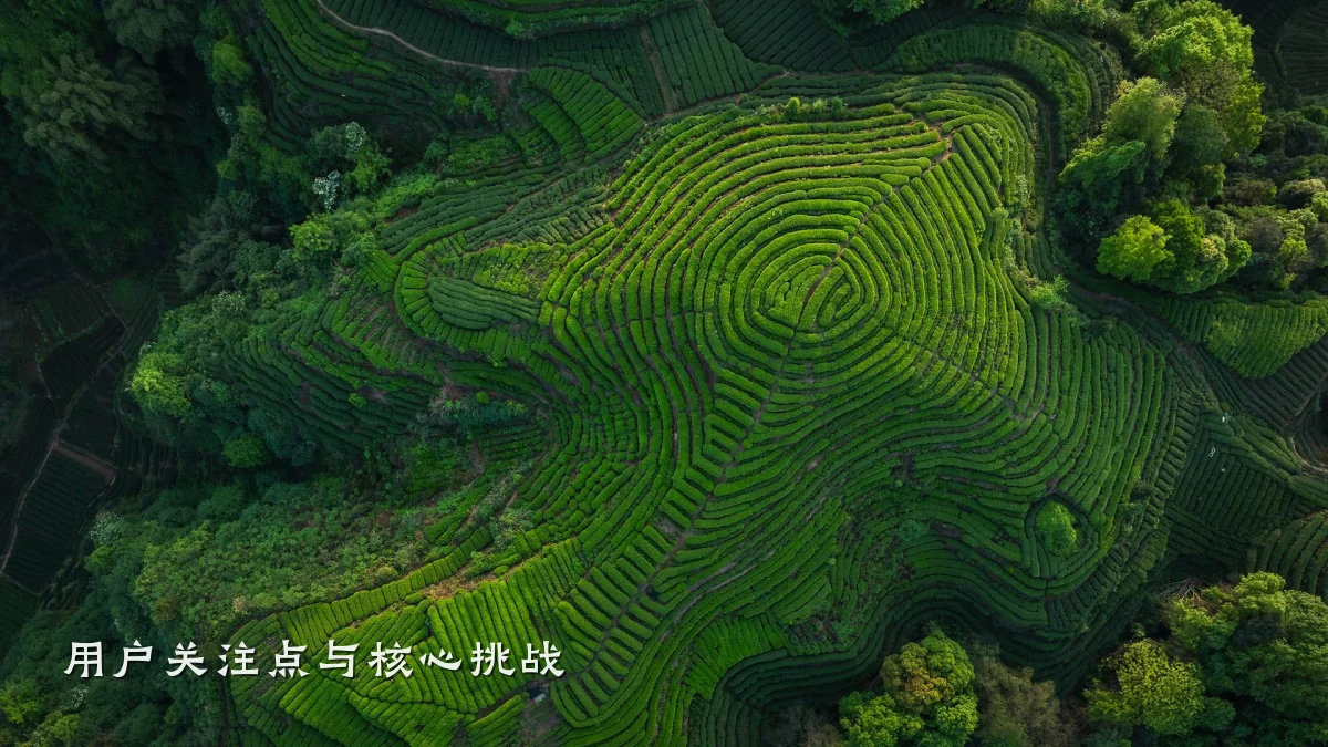 用户关注点与核心挑战