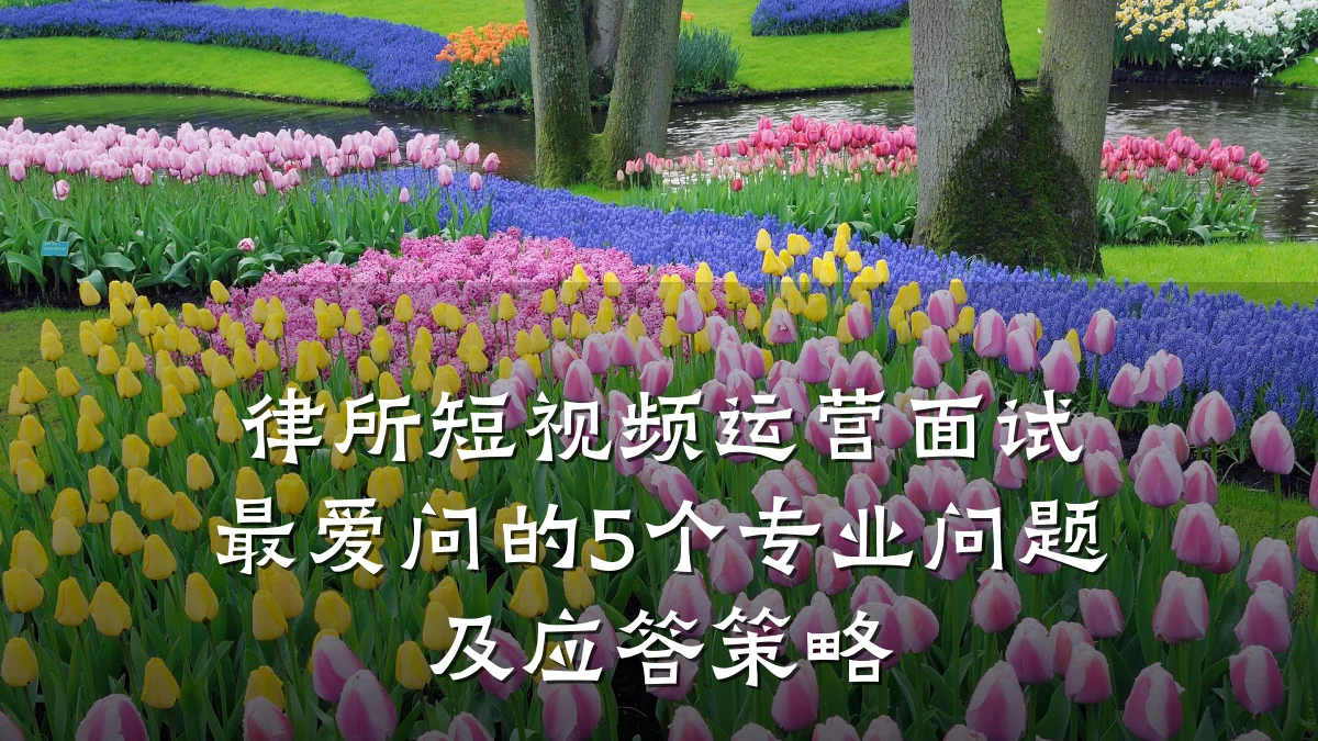 律所短视频运营面试最爱问的5个专业问题及应答策略