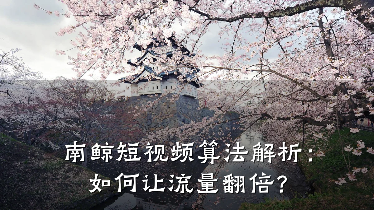 南鲸短视频算法解析:如何让流量翻倍?