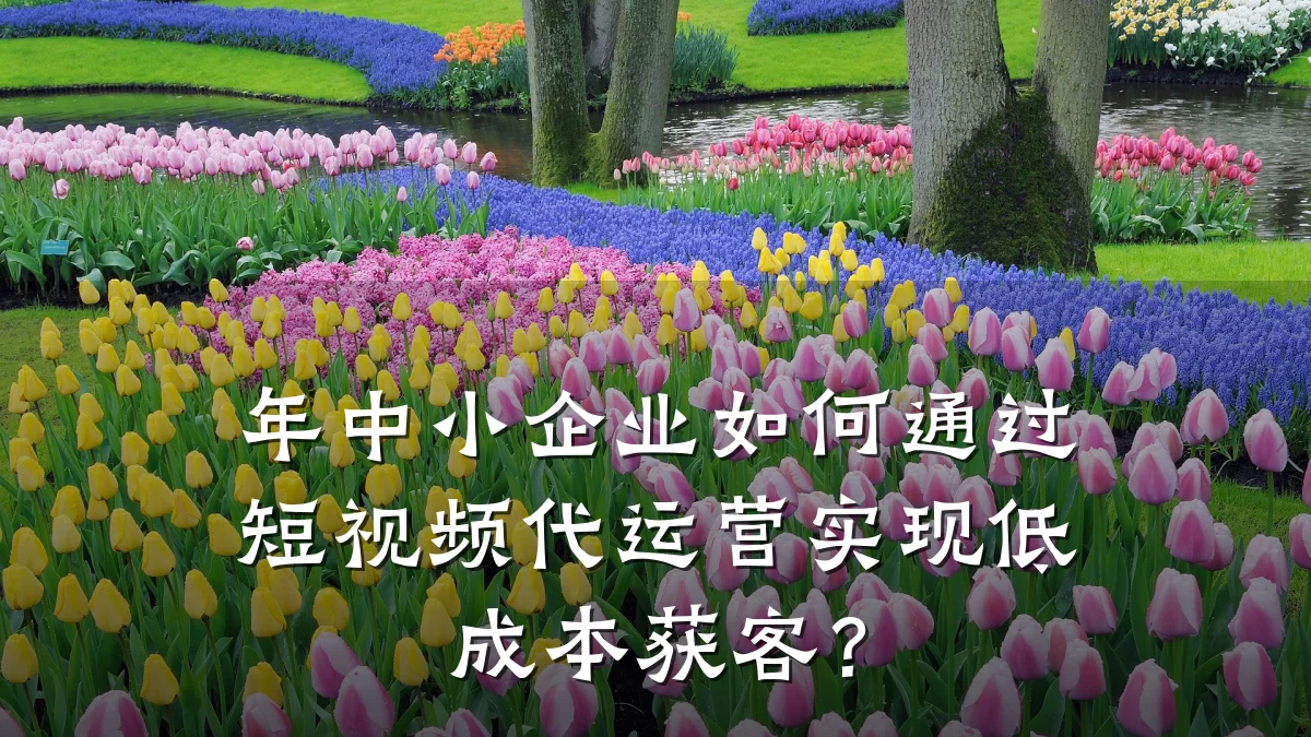 年中小企业如何通过短视频代运营实现低成本获客?