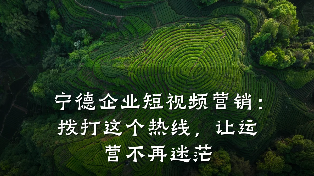 宁德企业短视频营销:拨打这个热线,让运营不再迷茫