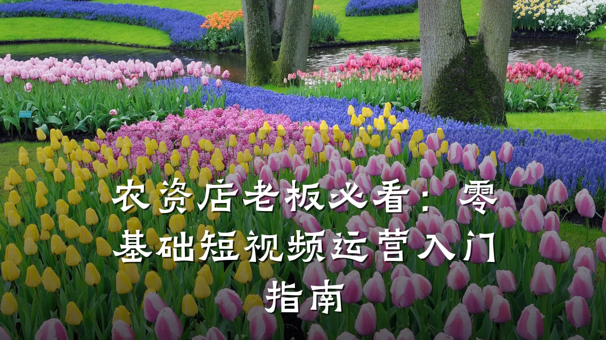 农资店老板必看:零基础短视频运营入门指南
