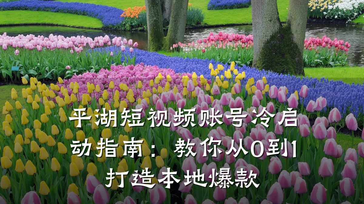 平湖短视频账号冷启动指南：教你从0到1打造本地爆款