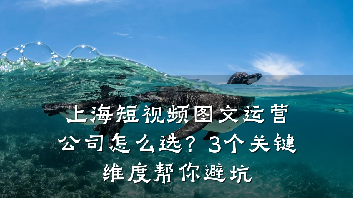 上海短视频图文运营公司怎么选?3个关键维度帮你避坑