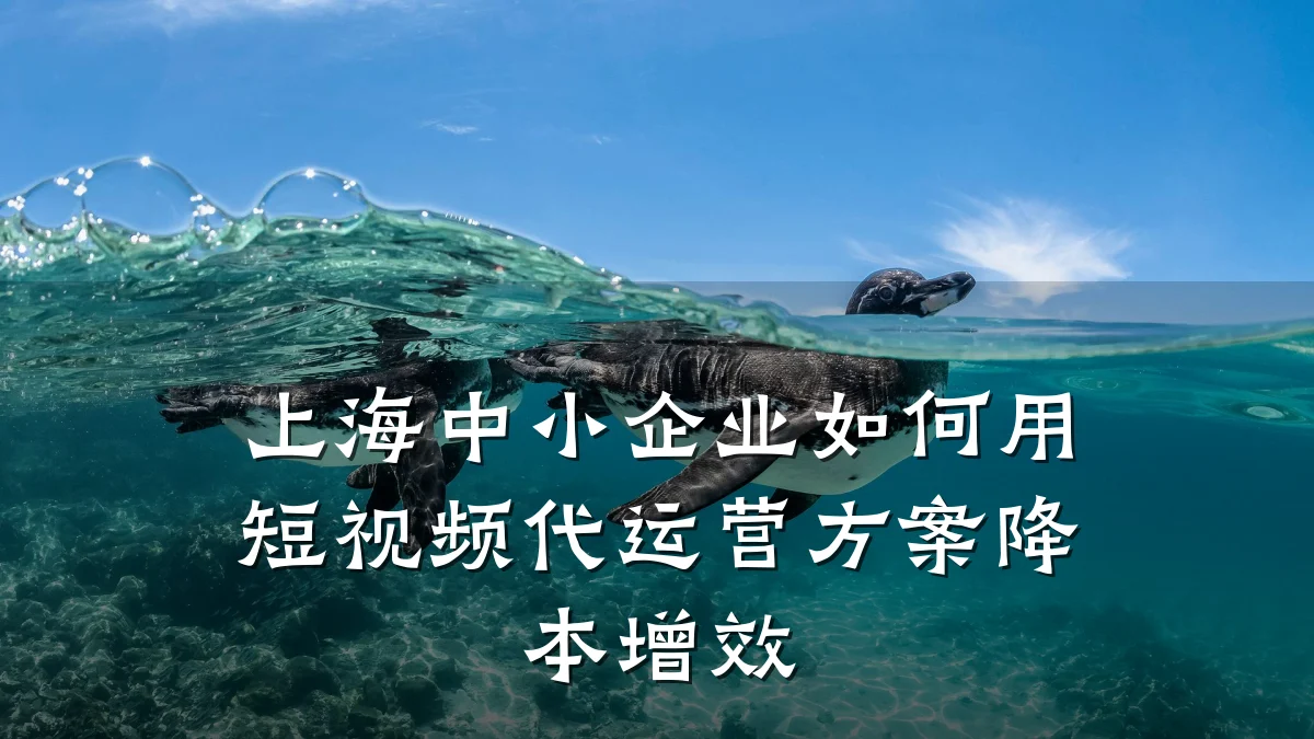上海中小企业如何用短视频代运营方案降本增效