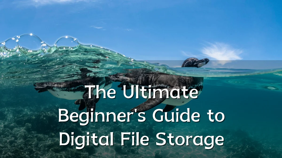 The Ultimate Beginner's Guide to Digital File Storage