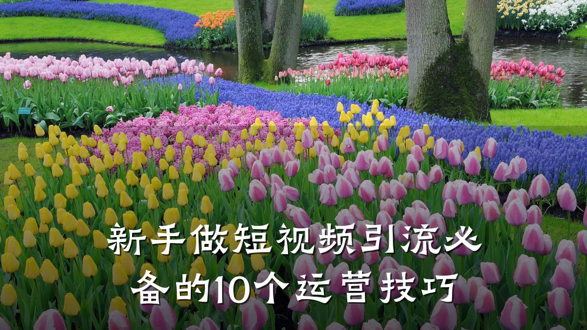 新手做短视频引流必备的10个运营技巧