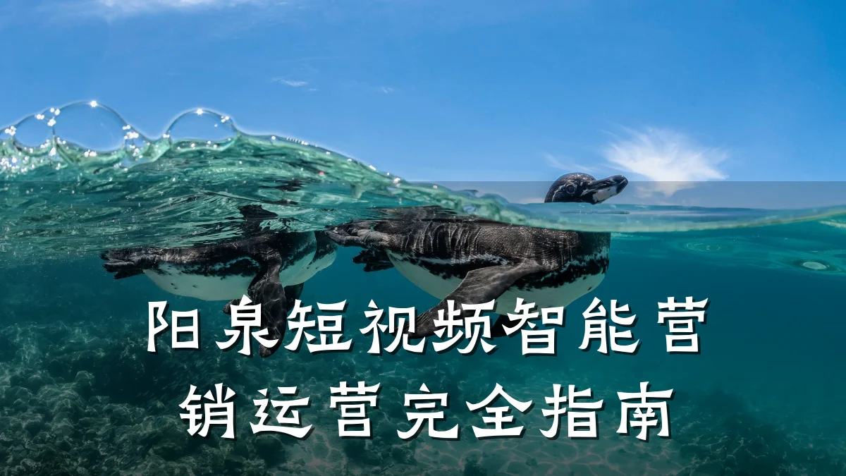 阳泉短视频智能营销运营完全指南