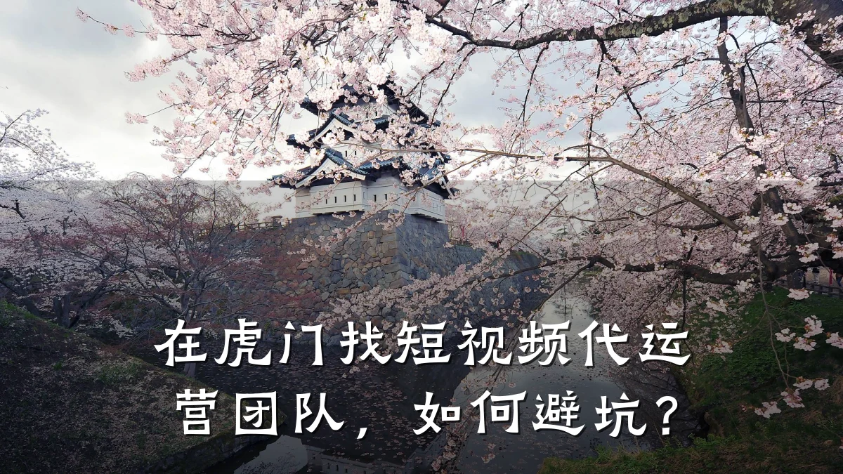 在虎门找短视频代运营团队，如何避坑？