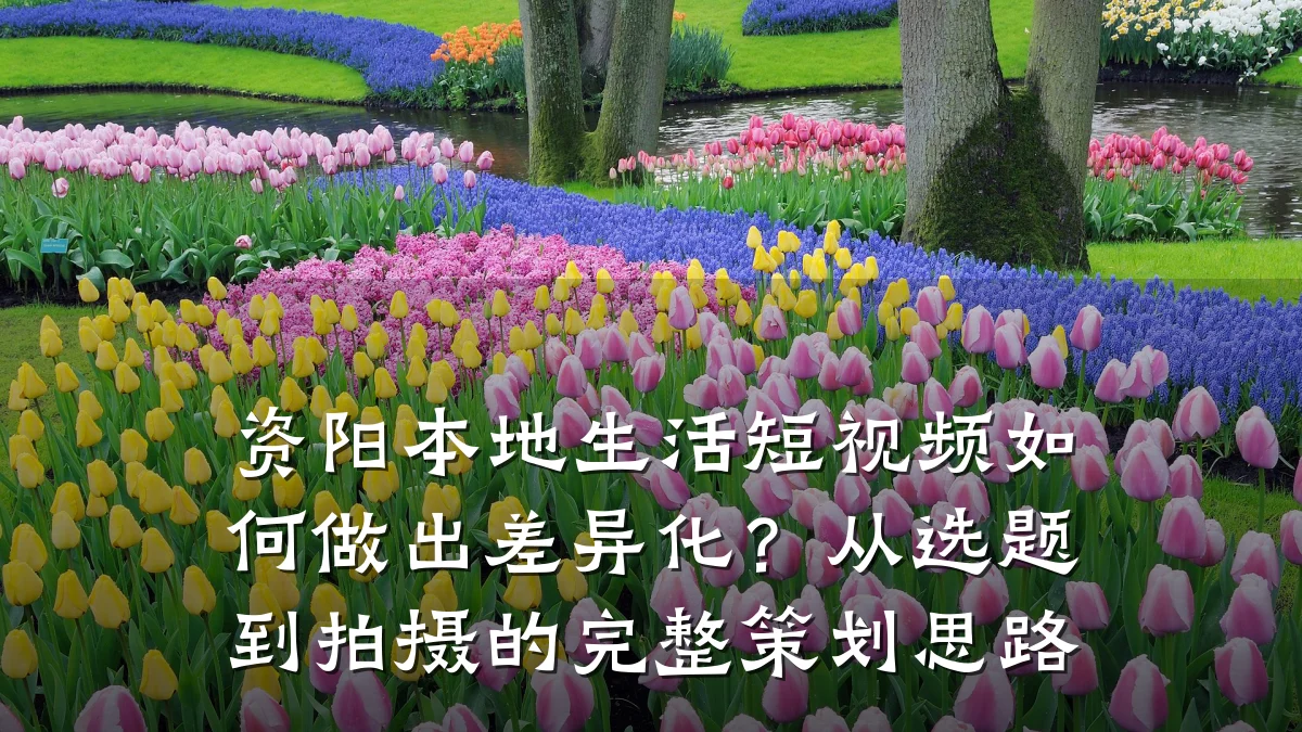 资阳本地生活短视频如何做出差异化?从选题到拍摄的完整策划思路