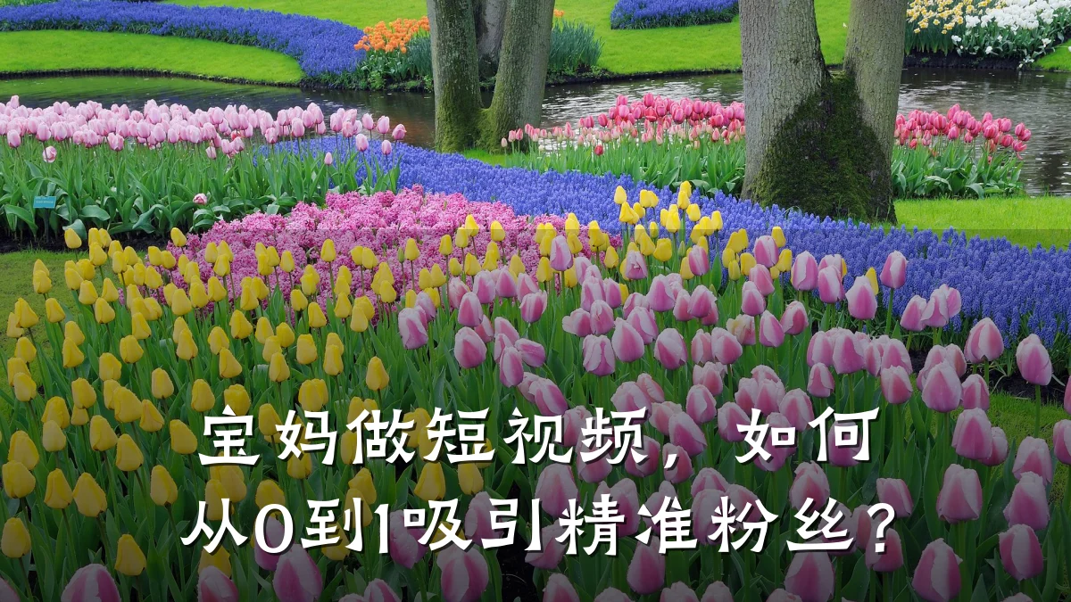 宝妈做短视频,如何从0到1吸引精准粉丝?