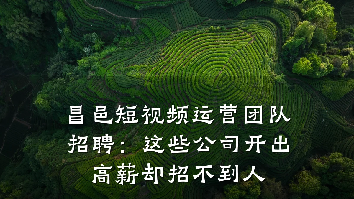 昌邑短视频运营团队招聘:这些公司开出高薪却招不到人