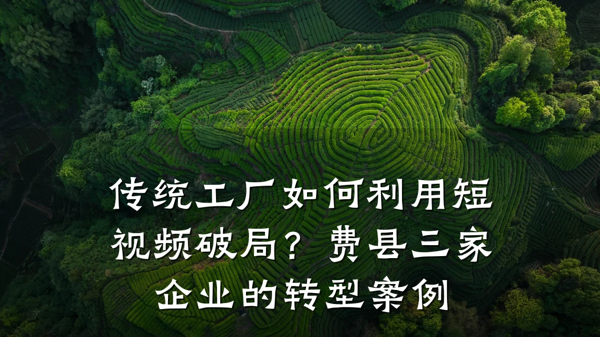 传统工厂如何利用短视频破局？费县三家企业的转型案例