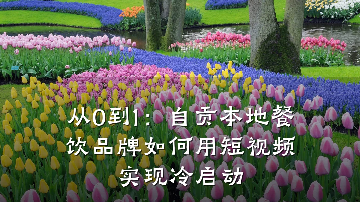从0到1:自贡本地餐饮品牌如何用短视频实现冷启动