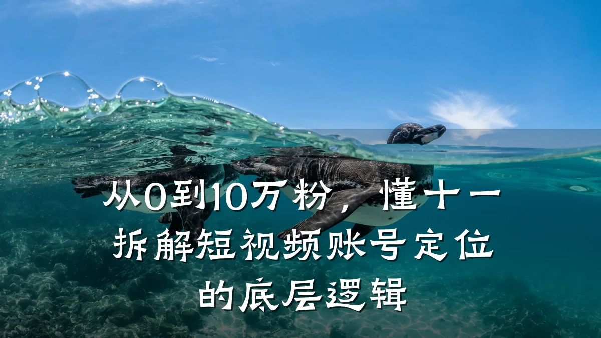 从0到10万粉,懂十一拆解短视频账号定位的底层逻辑