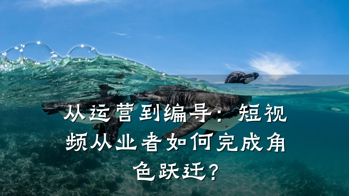 从运营到编导:短视频从业者如何完成角色跃迁?