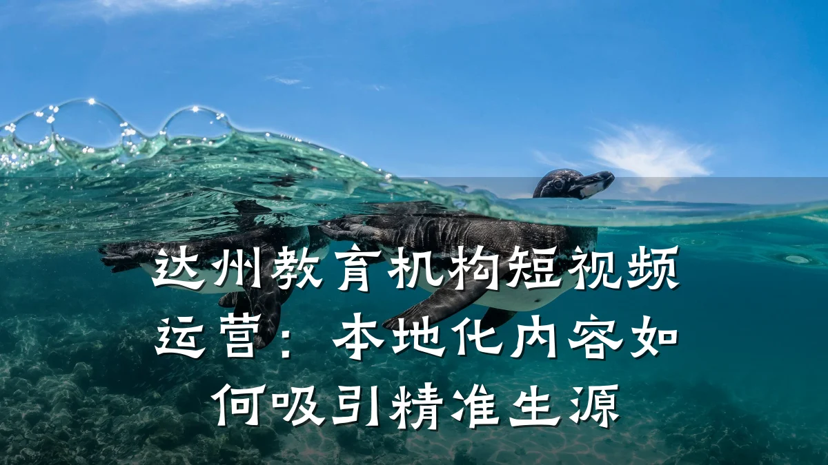 达州教育机构短视频运营:本地化内容如何吸引精准生源
