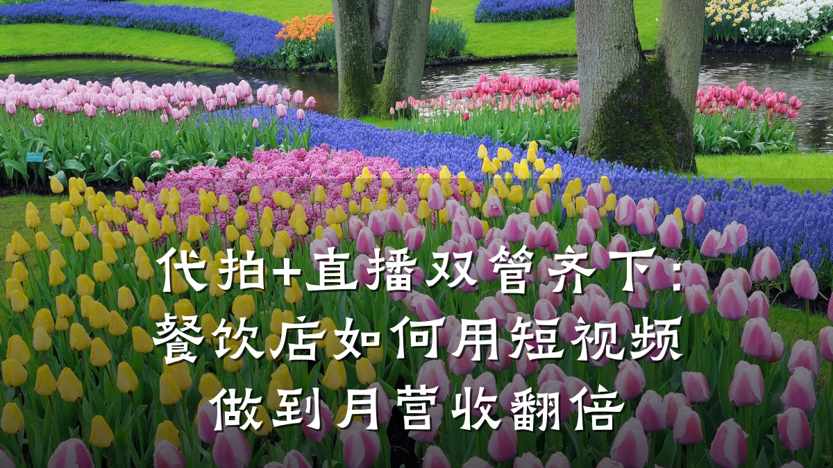 代拍+直播双管齐下:餐饮店如何用短视频做到月营收翻倍