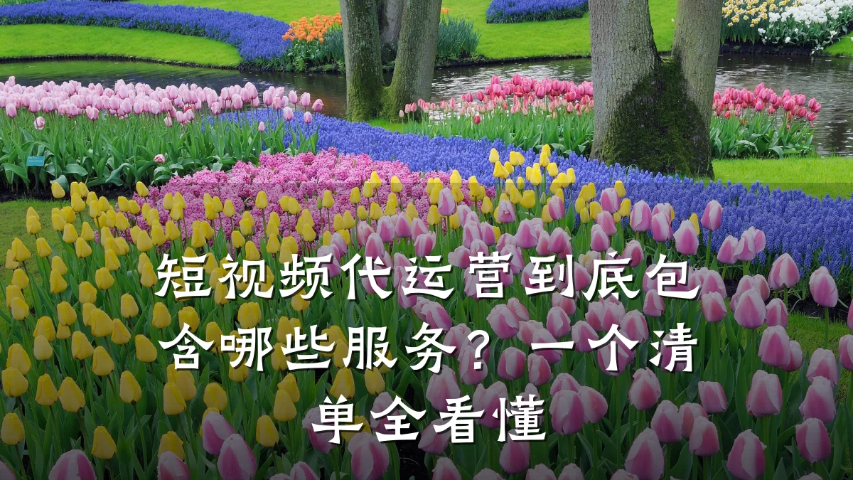 短视频代运营到底包含哪些服务?一个清单全看懂