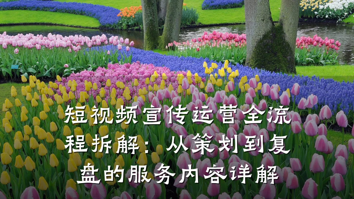 短视频宣传运营全流程拆解:从策划到复盘的服务内容详解
