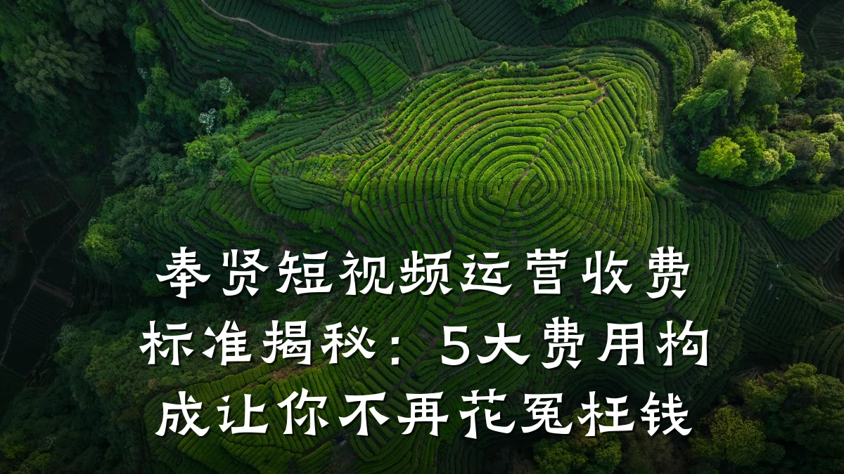 奉贤短视频运营收费标准揭秘:5大费用构成让你不再花冤枉钱