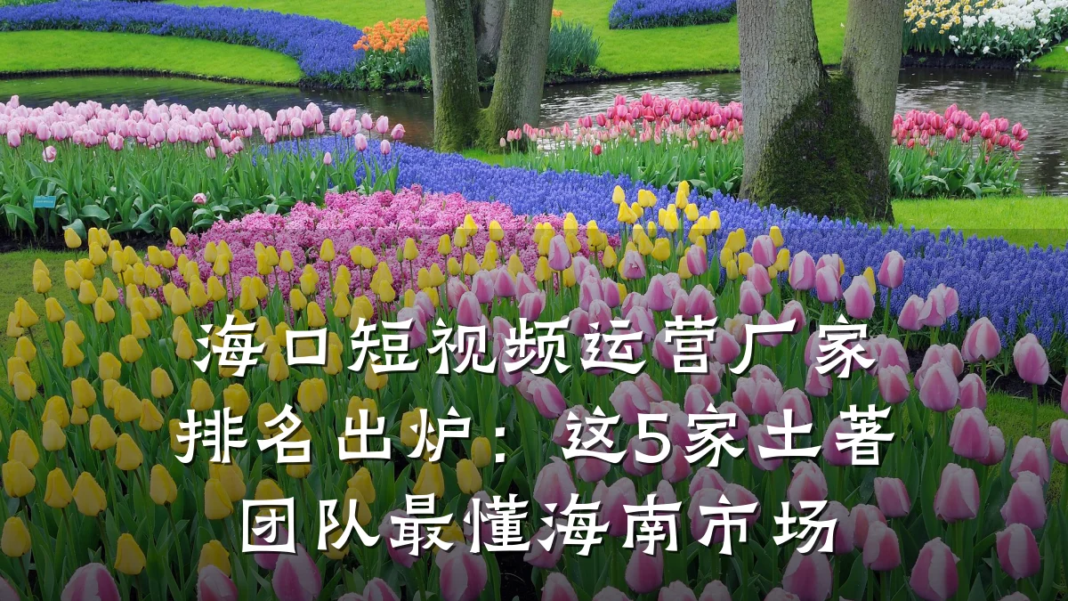 海口短视频运营厂家排名出炉:这5家土著团队最懂海南市场