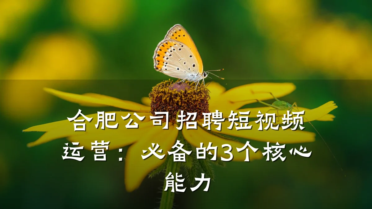 合肥公司招聘短视频运营:必备的3个核心能力