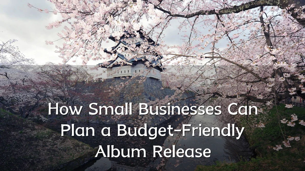 How Small Businesses Can Plan a Budget-Friendly Album Release