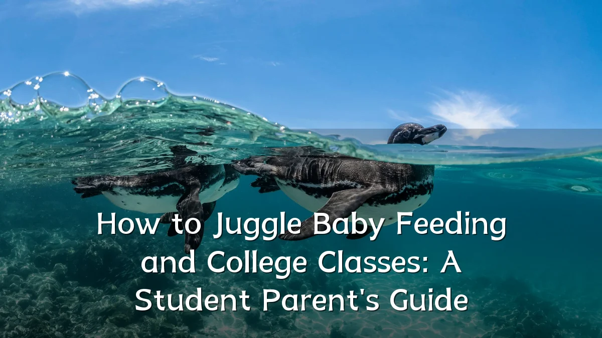 How to Juggle Baby Feeding and College Classes: A Student Parent's Guide