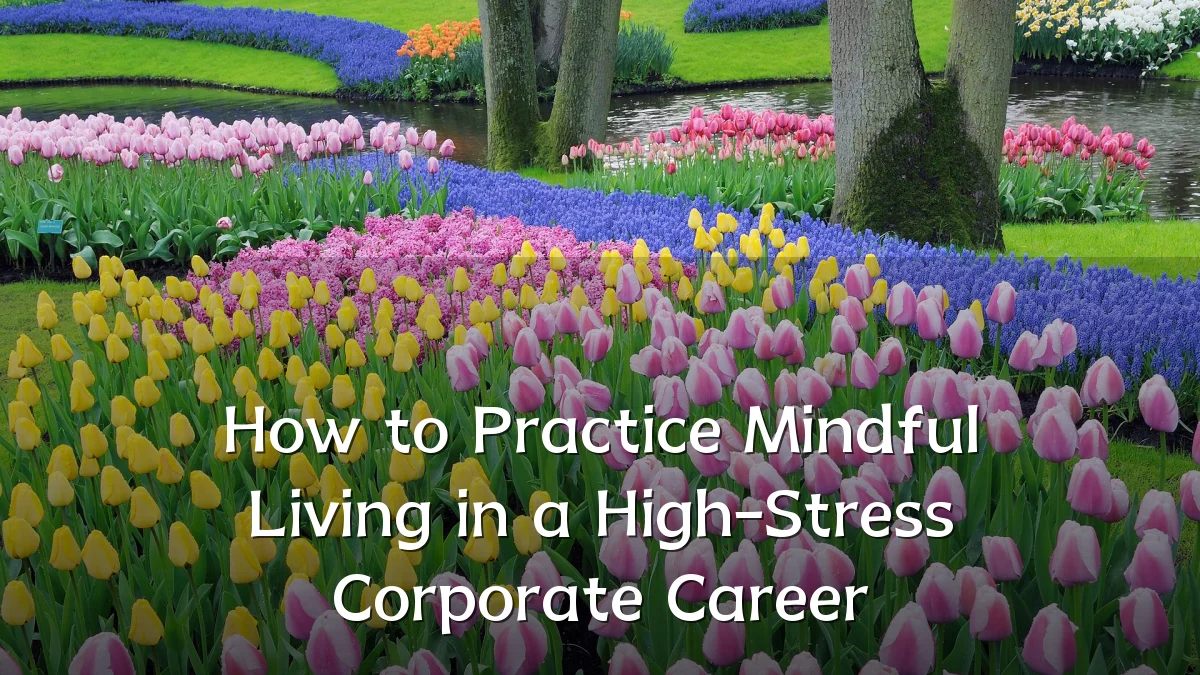 How to Practice Mindful Living in a High-Stress Corporate Career