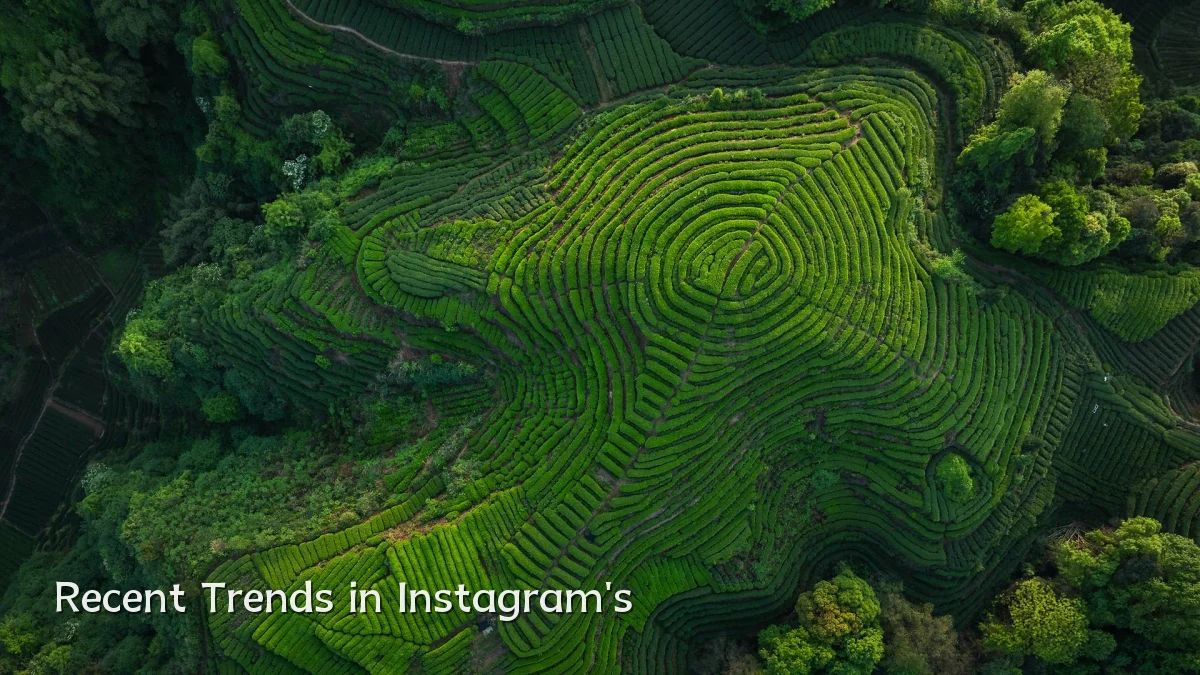 Recent Trends in Instagram's