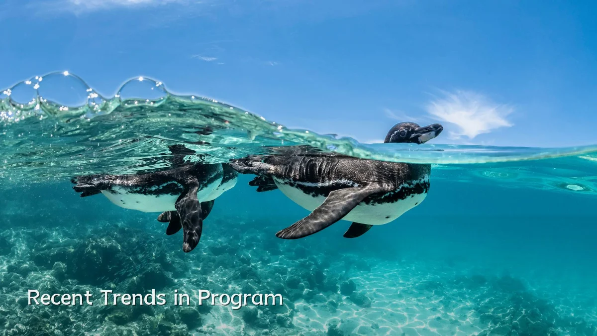Recent Trends in Program