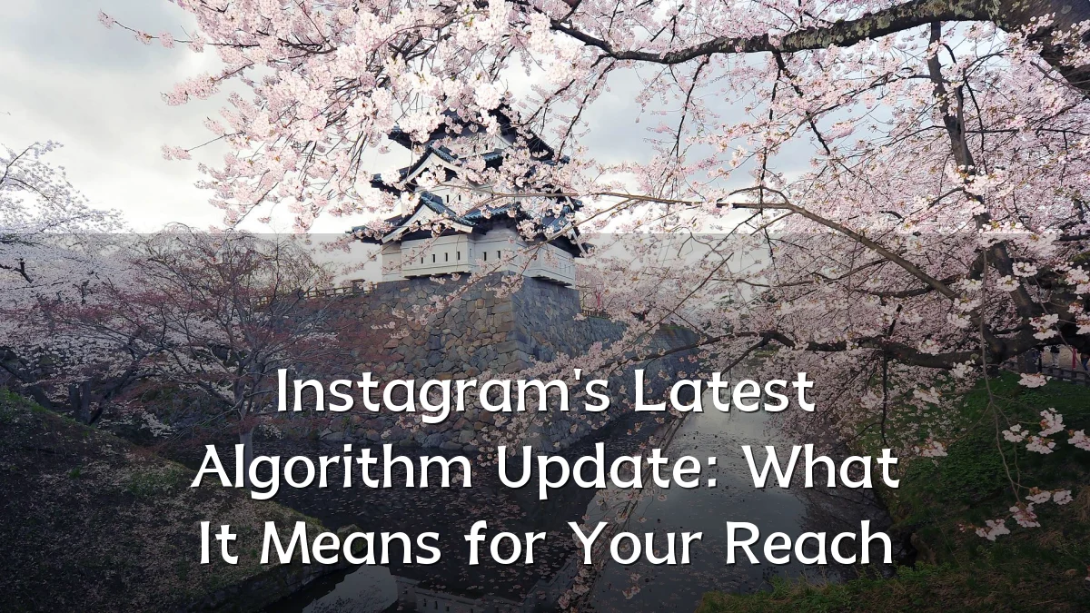 Instagram's Latest Algorithm Update: What It Means for Your Reach