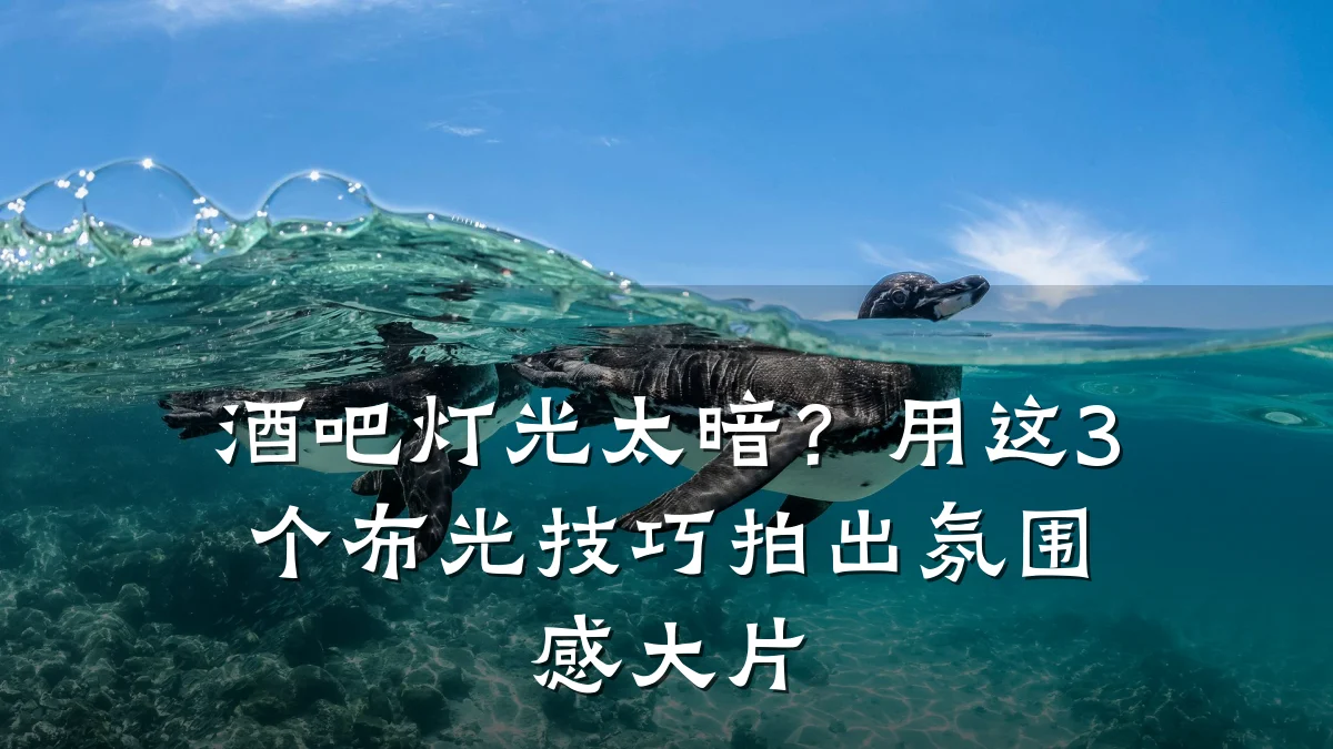 酒吧灯光太暗?用这3个布光技巧拍出氛围感大片