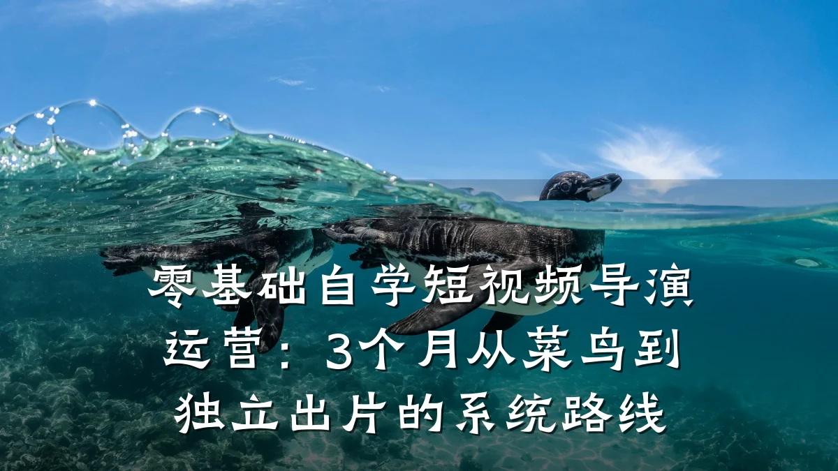 零基础自学短视频导演运营:3个月从菜鸟到独立出片的系统路线