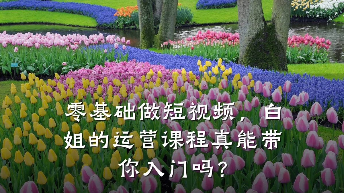 零基础做短视频,白姐的运营课程真能带你入门吗?