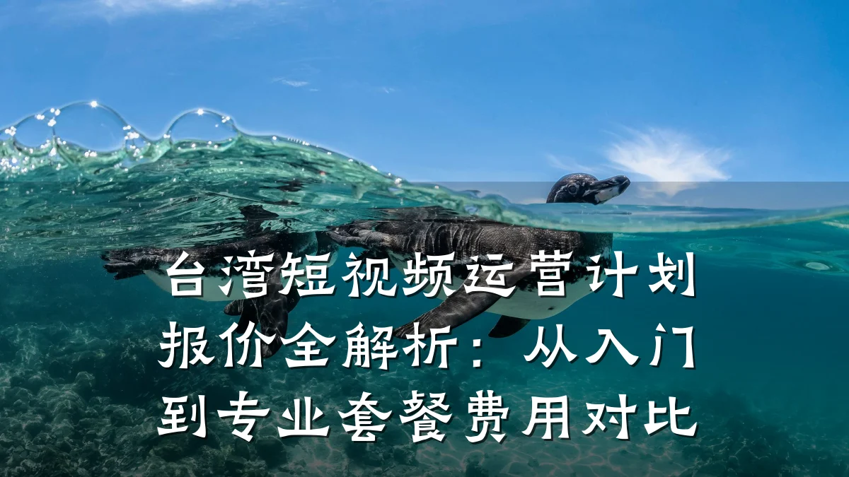 台湾短视频运营计划报价全解析:从入门到专业套餐费用对比