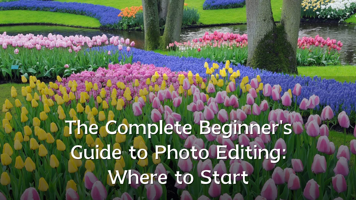The Complete Beginner's Guide to Photo Editing: Where to Start
