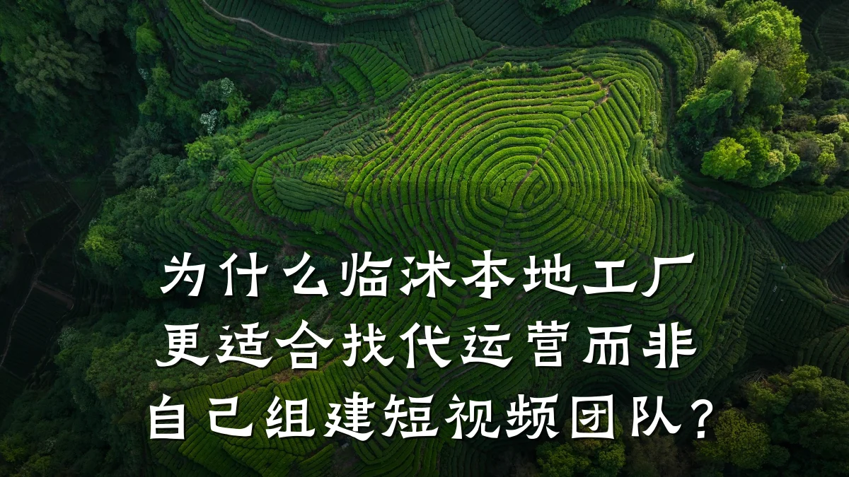 为什么临沭本地工厂更适合找代运营而非自己组建短视频团队?
