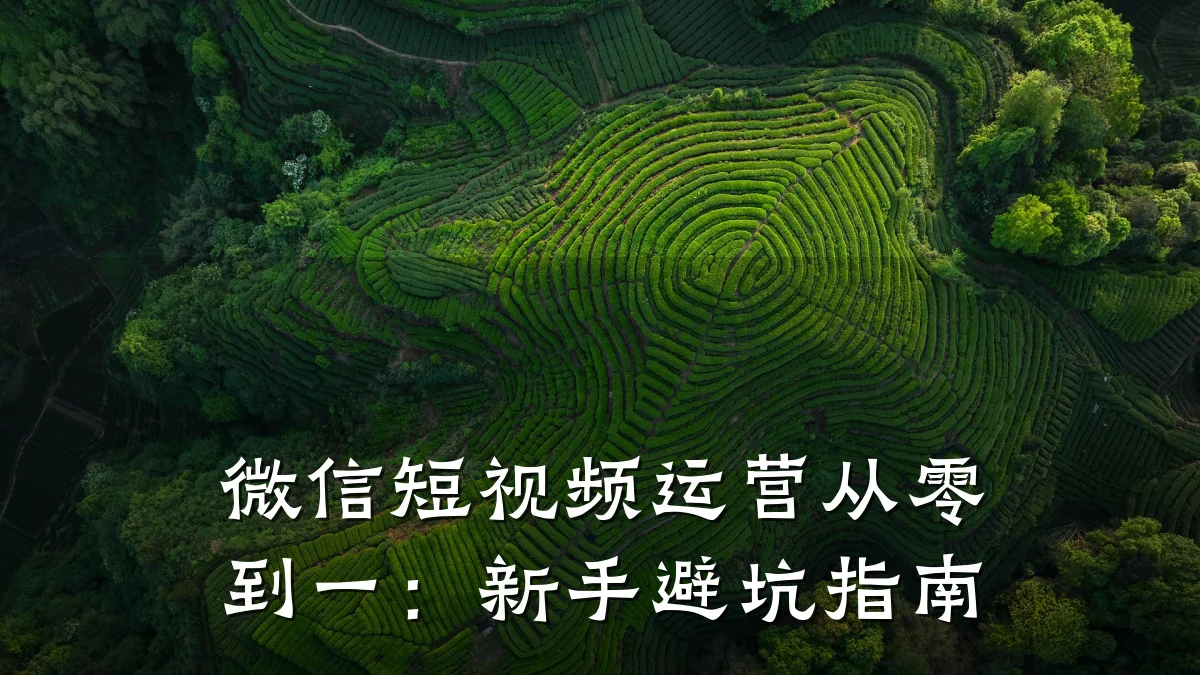 微信短视频运营从零到一：新手避坑指南