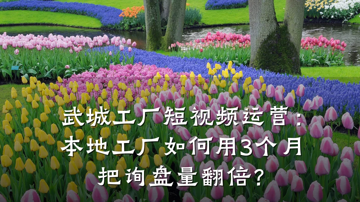 武城工厂短视频运营:本地工厂如何用3个月把询盘量翻倍?