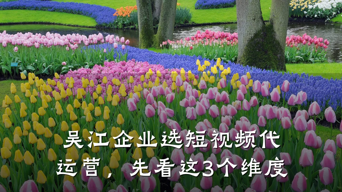 吴江企业选短视频代运营，先看这3个维度