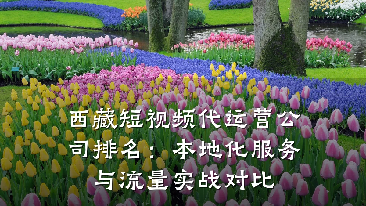 西藏短视频代运营公司排名:本地化服务与流量实战对比